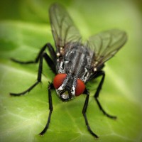 /album/test-tanki-online-com/photolia-a01-jpg/