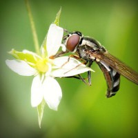 /album/test-tanki-online-com/photolia-a02-jpg/