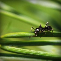 /album/test-tanki-online-com/photolia-a05-jpg/