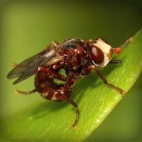 /album/test-tanki-online-com/photolia-a06-jpg/