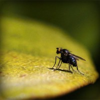 /album/test-tanki-online-com/photolia-a07-jpg/