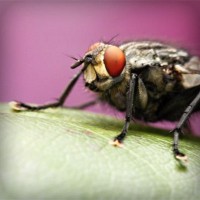 /album/test-tanki-online-com/photolia-a08-jpg/